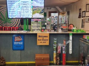 Test Hippie Cures - Carnegie