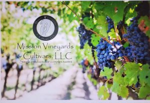 Mission Vineyards & Cultivars LLC - Traverse City
