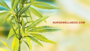 Nurse Cannabis Dispensary - Cherry Hill, 38