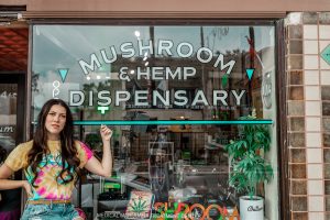 Chillum Mushroom and Hemp Dispensary - Tampa