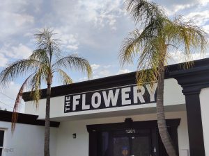 The Flowery - Clearwater