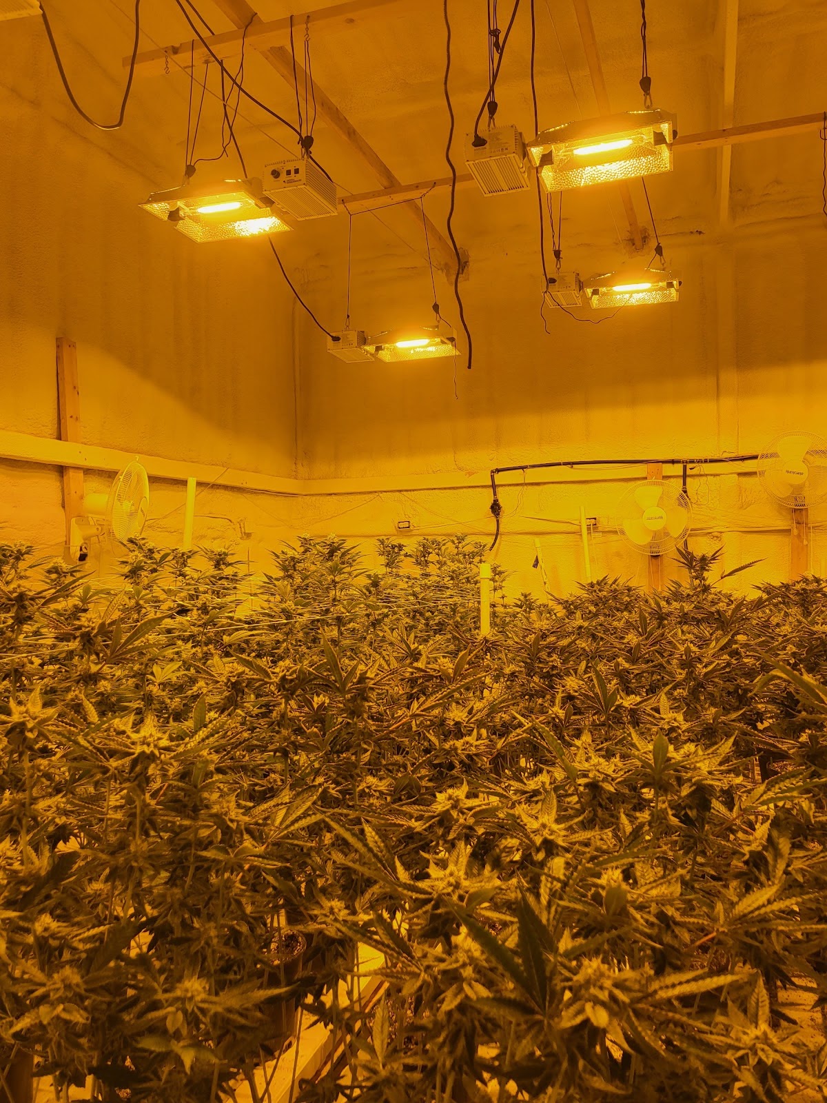 Listing slider image 2