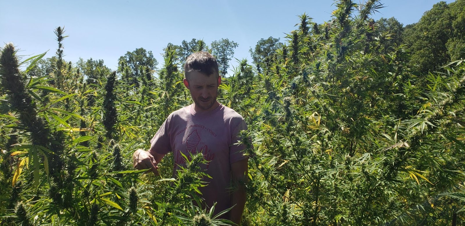 Listing slider image 2