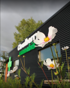 Cloudberry Cannabis Dispensary - Anchorage