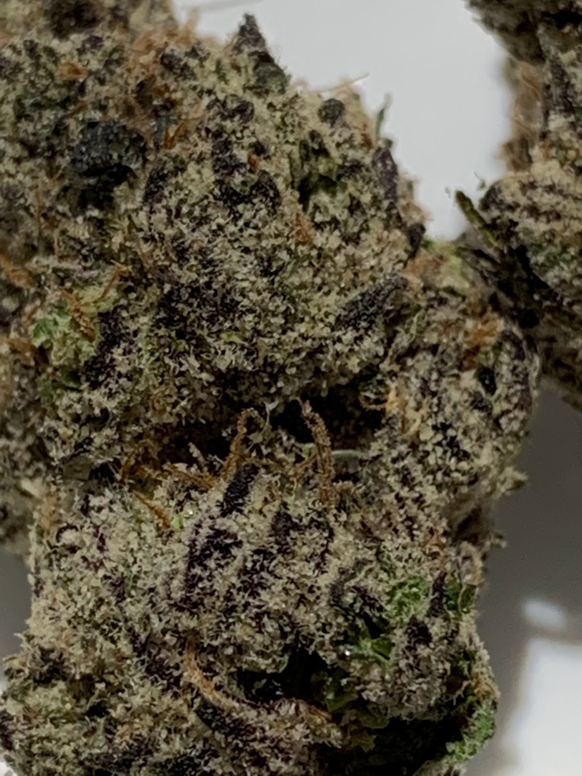 Listing slider image 2