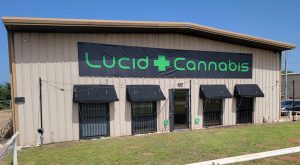 Lucid Cannabis Collective - Edmond