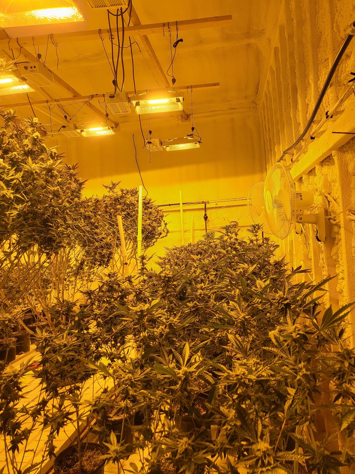 Listing slider image 2