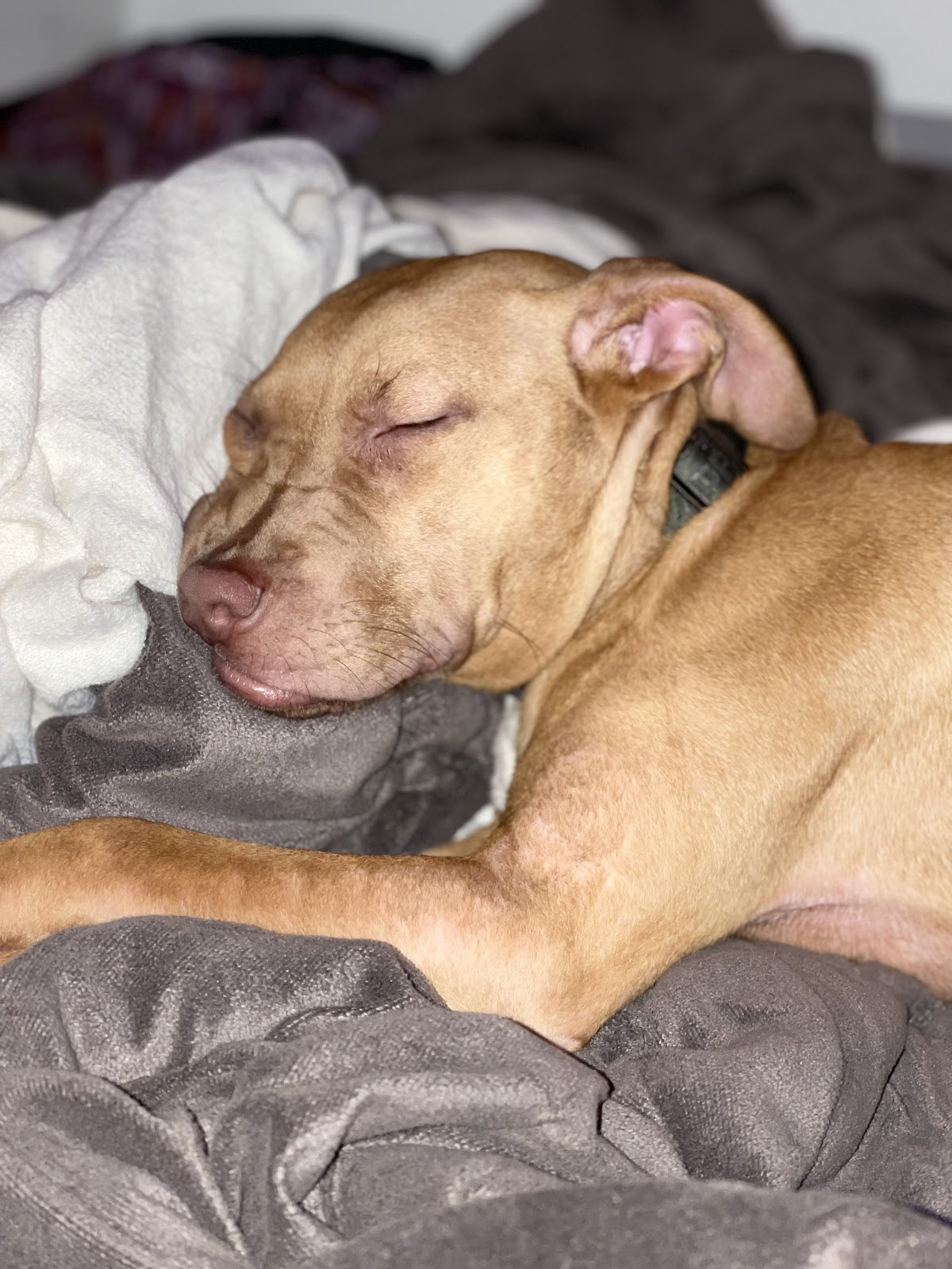 Listing slider image 2