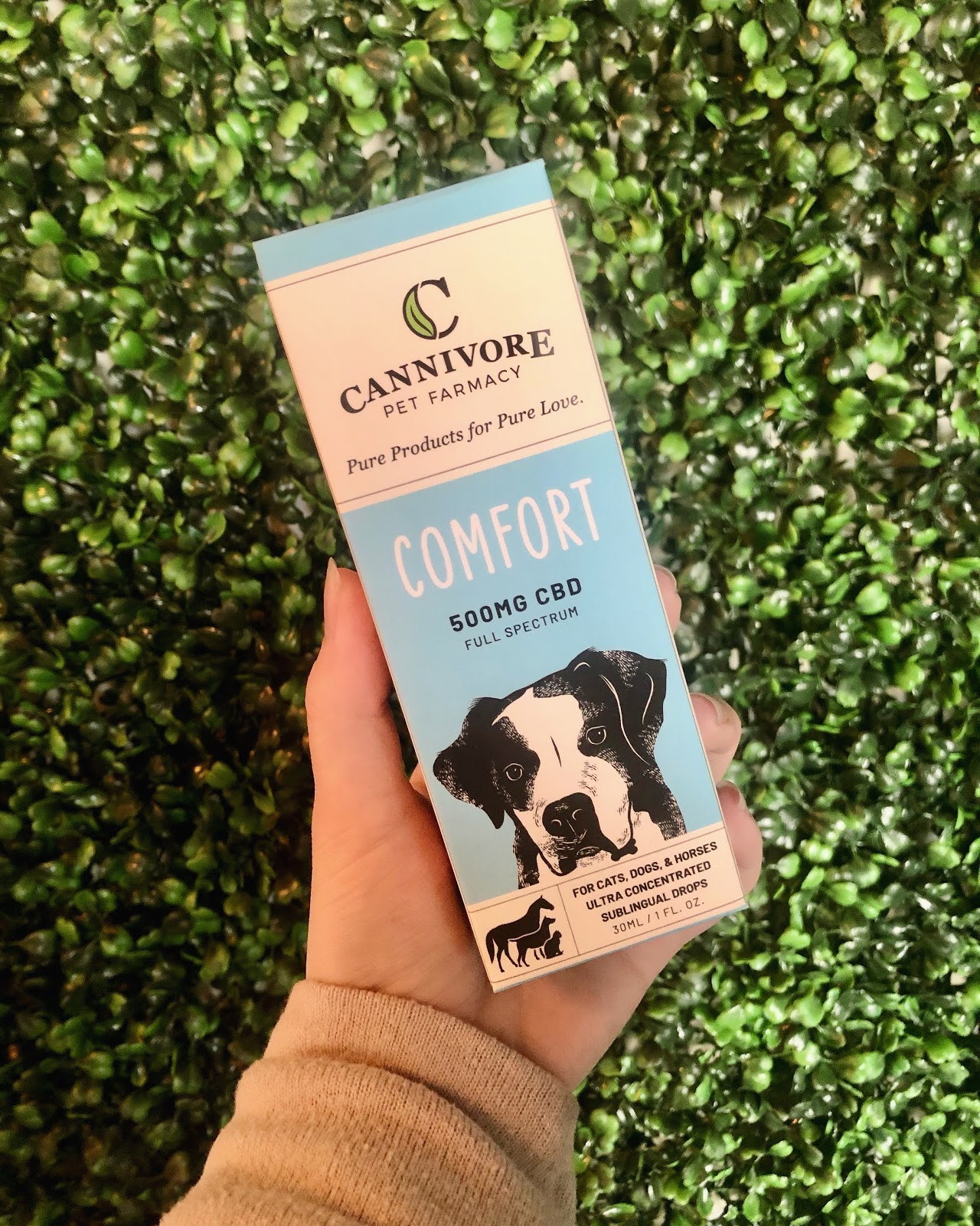 Listing slider image 2