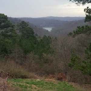 Cannabis Research Center - Eureka Springs