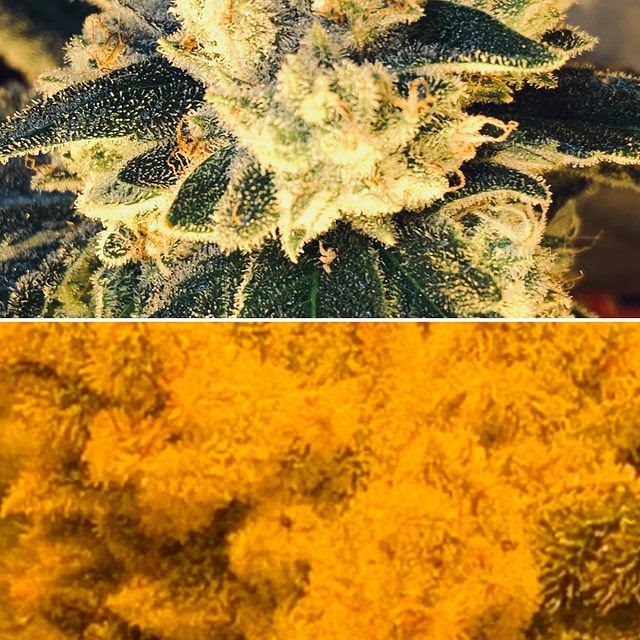 Listing slider image 2