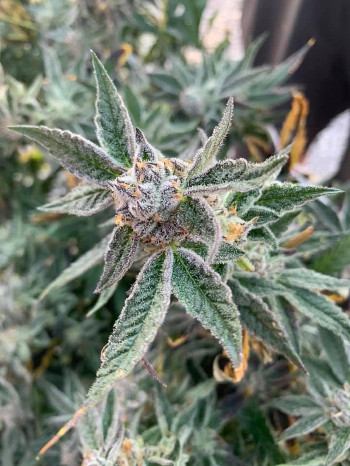 Listing slider image 2