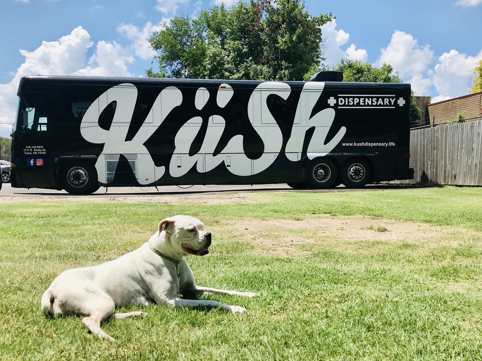 Listing slider image 2