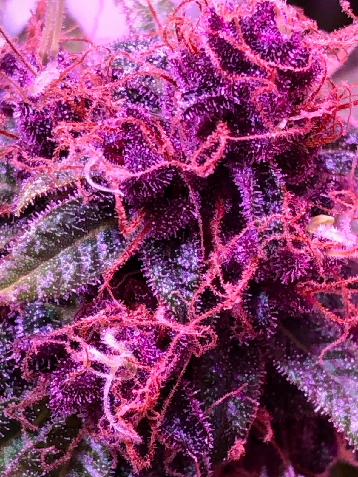 Listing slider image 2