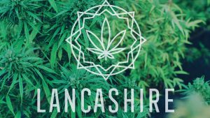 Lancashire Hemp - Narvon