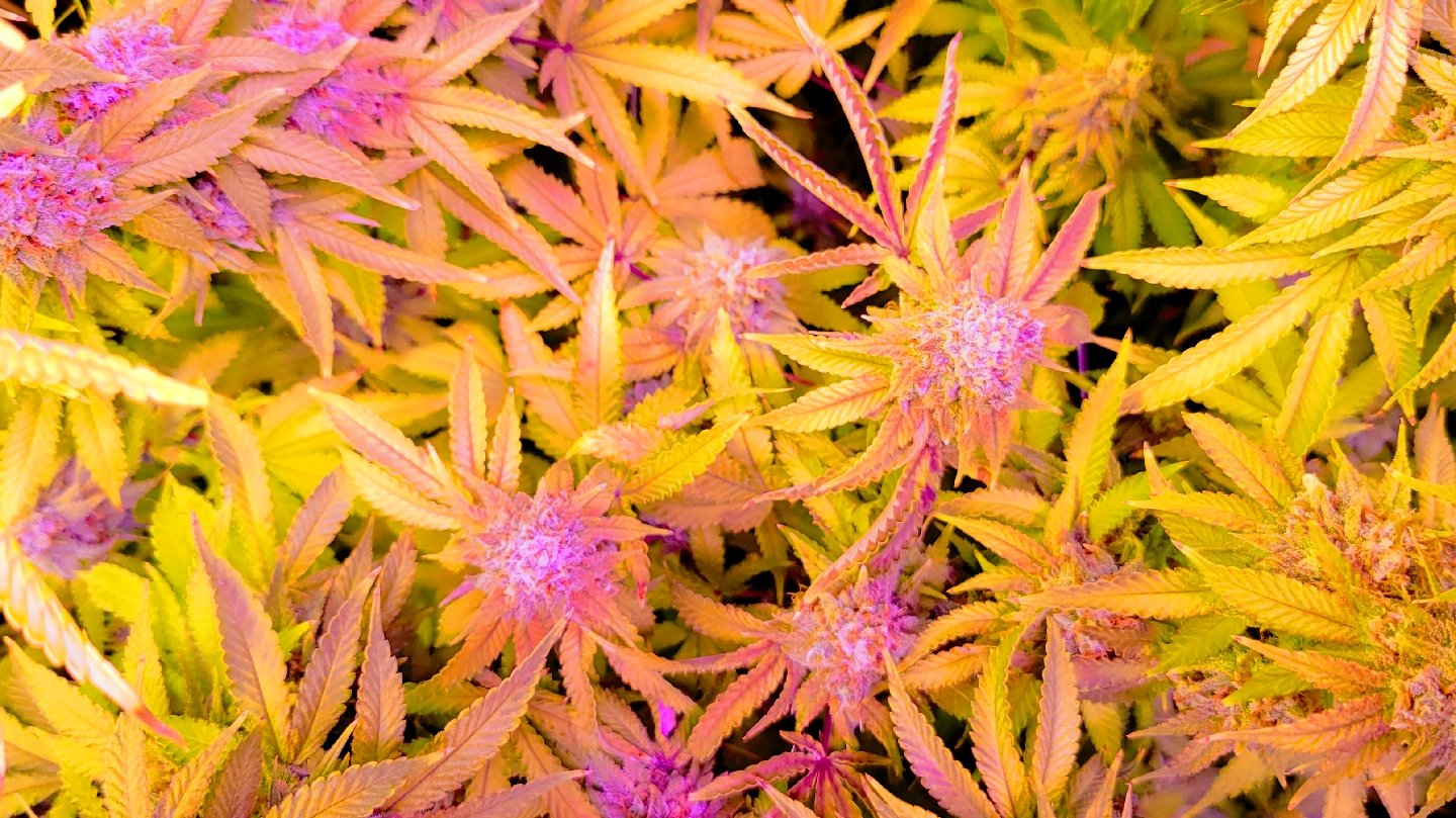 Listing slider image 1