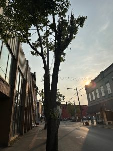 606 Hemp - Paintsville
