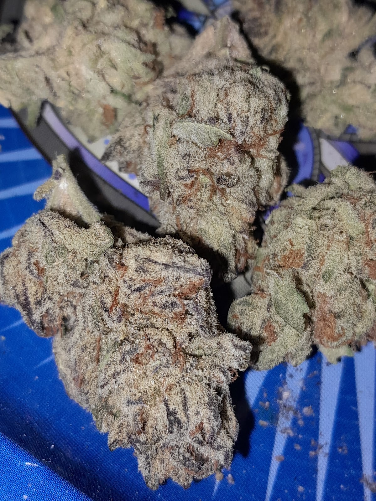 Listing slider image 2