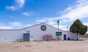 Magnolia Road Cannabis Co - Log Lane Village