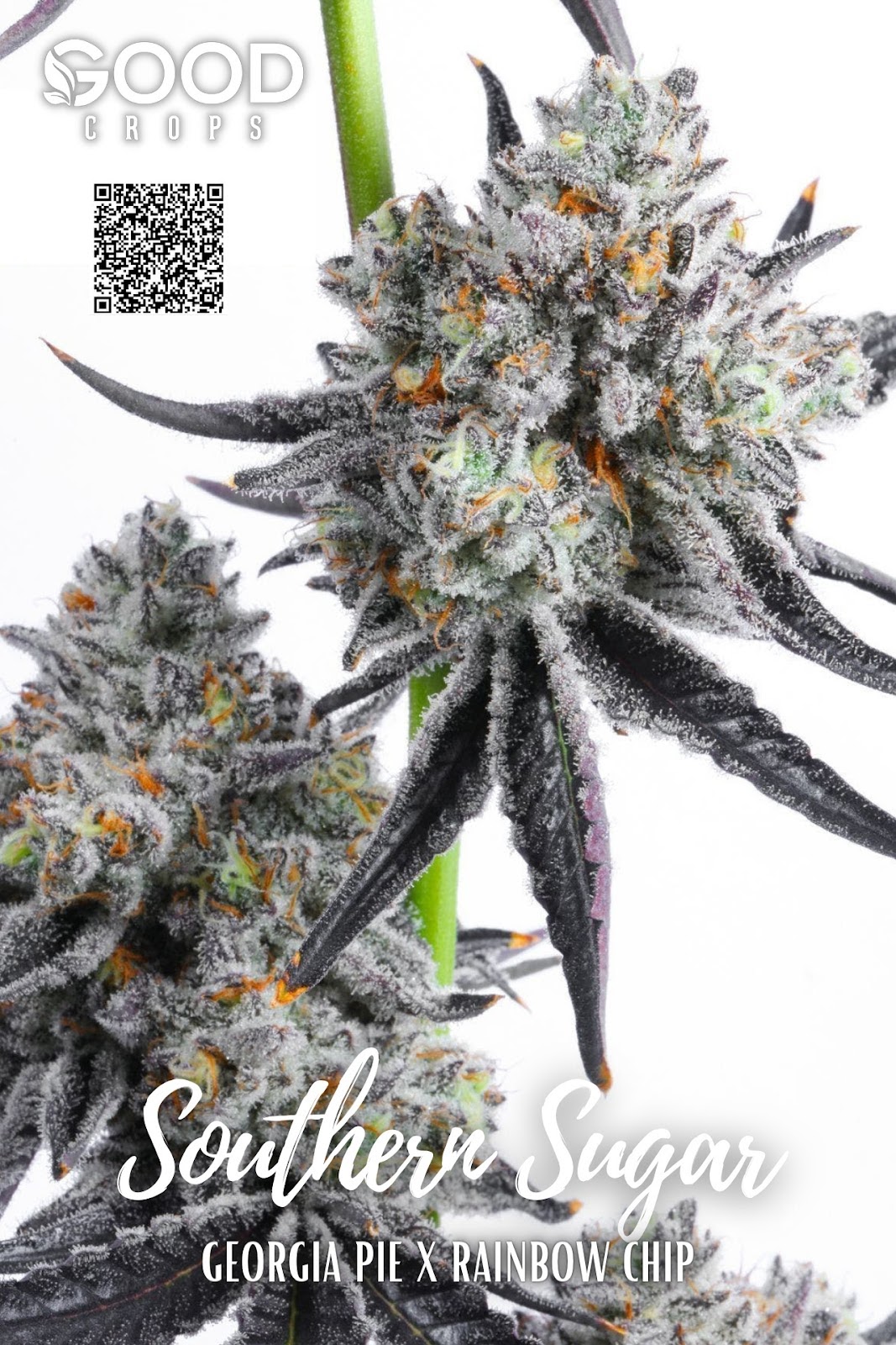 Good Crops Dispensary Antlers Flavor Fix