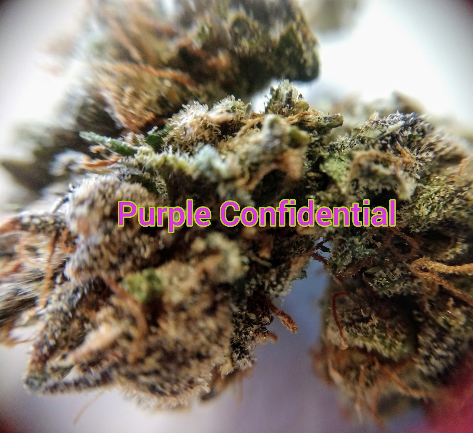 Listing slider image 2