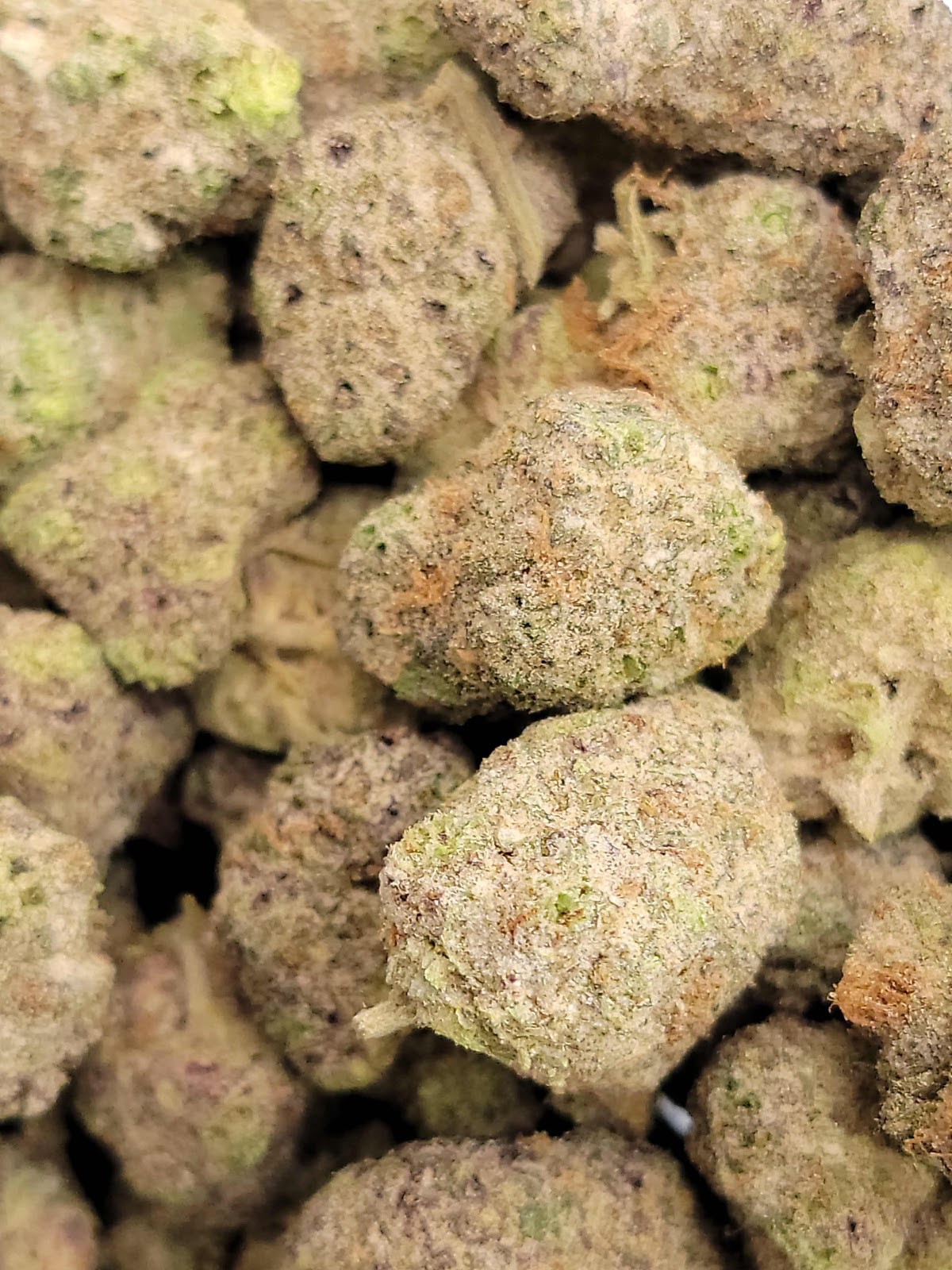 Listing slider image 2