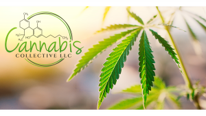 Cannabis Collective LLC - West Bend