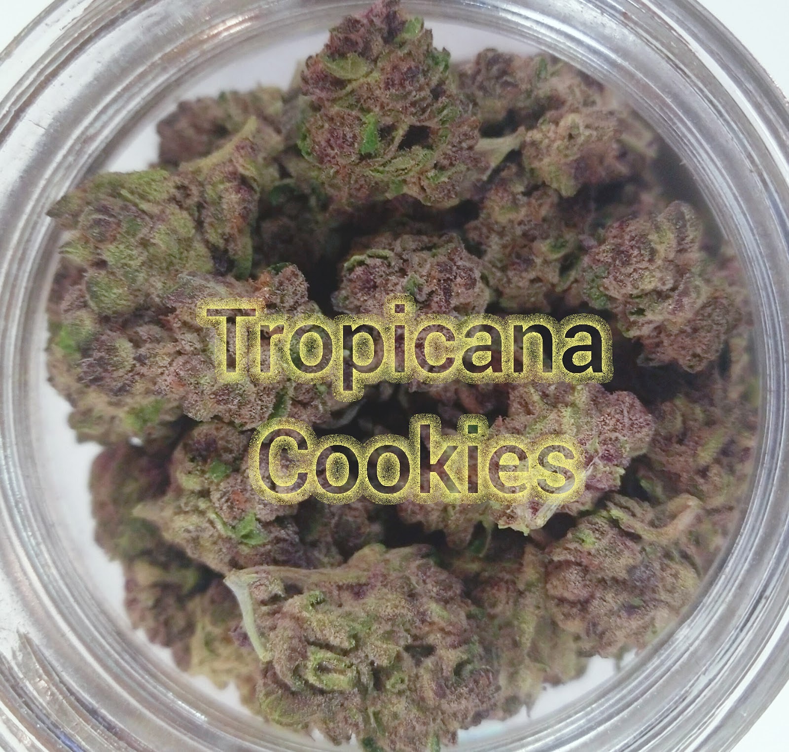 Listing slider image 2