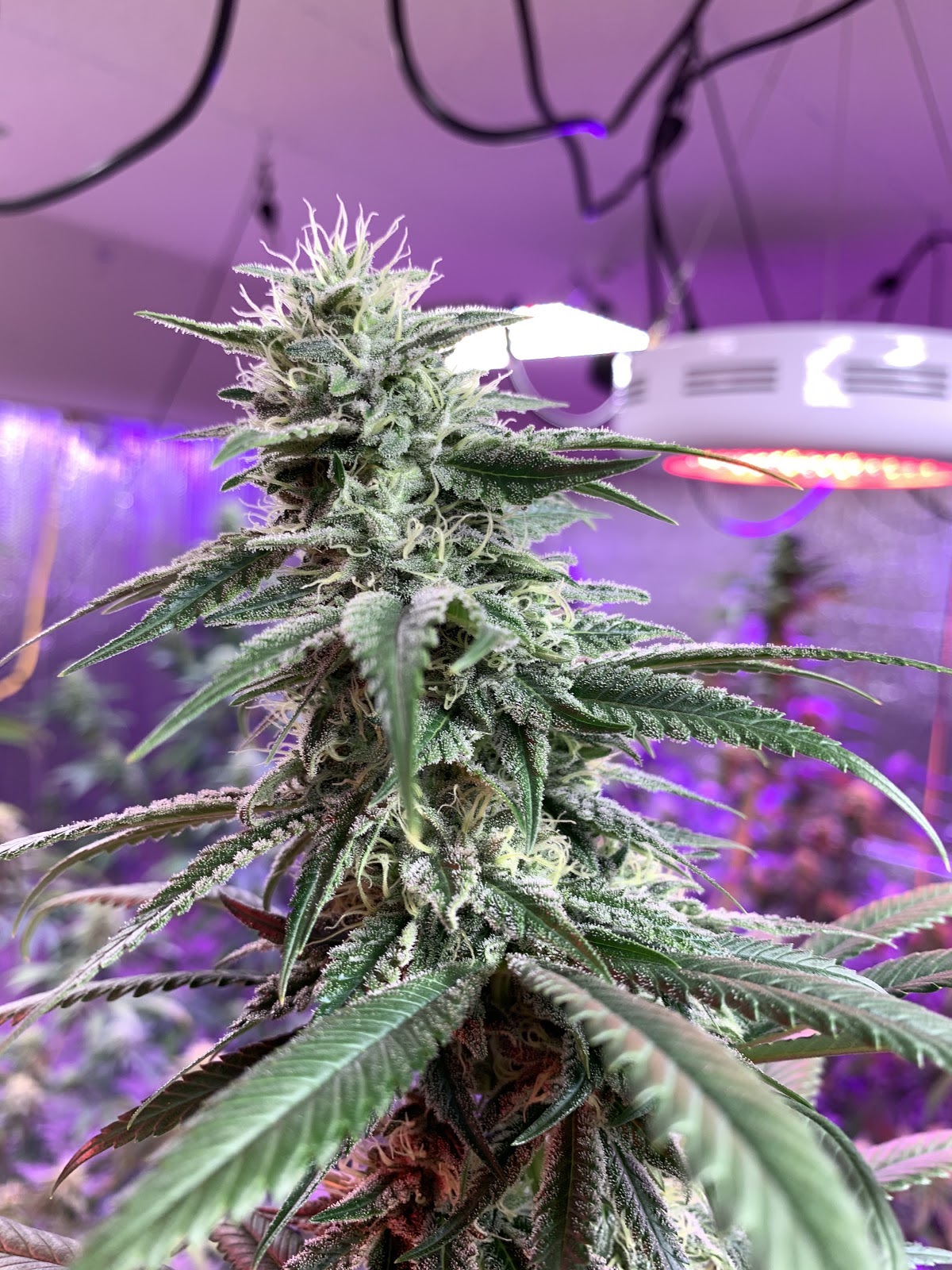 Listing slider image 2