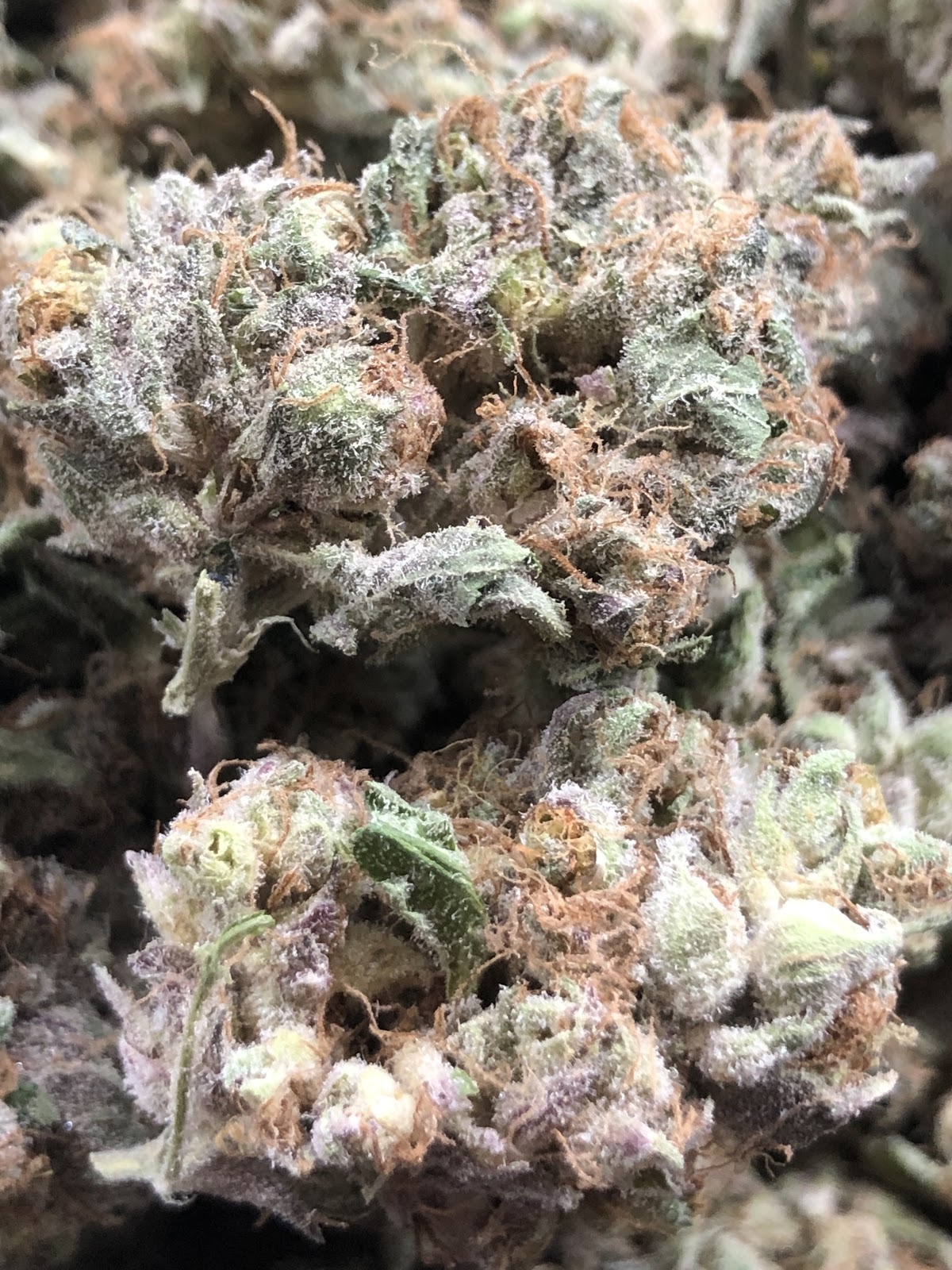 Listing slider image 2