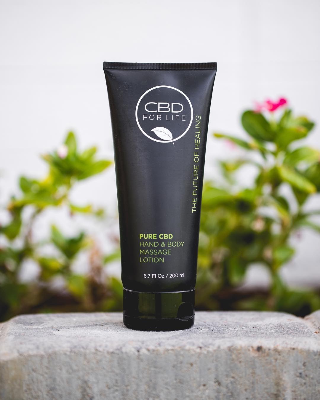 Listing slider image 2