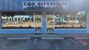 CBD Cityscape - North Fort Myers