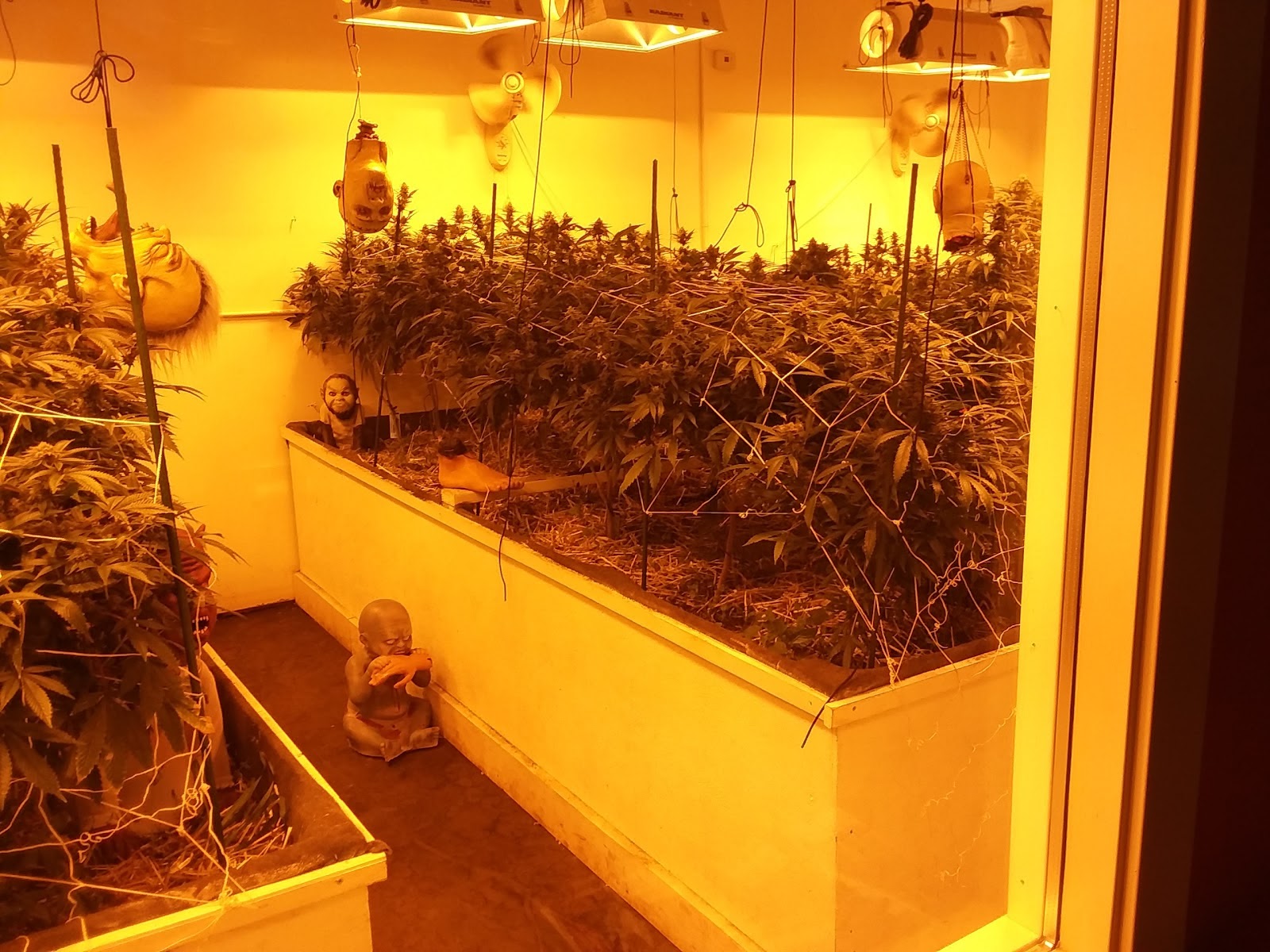 Listing slider image 2