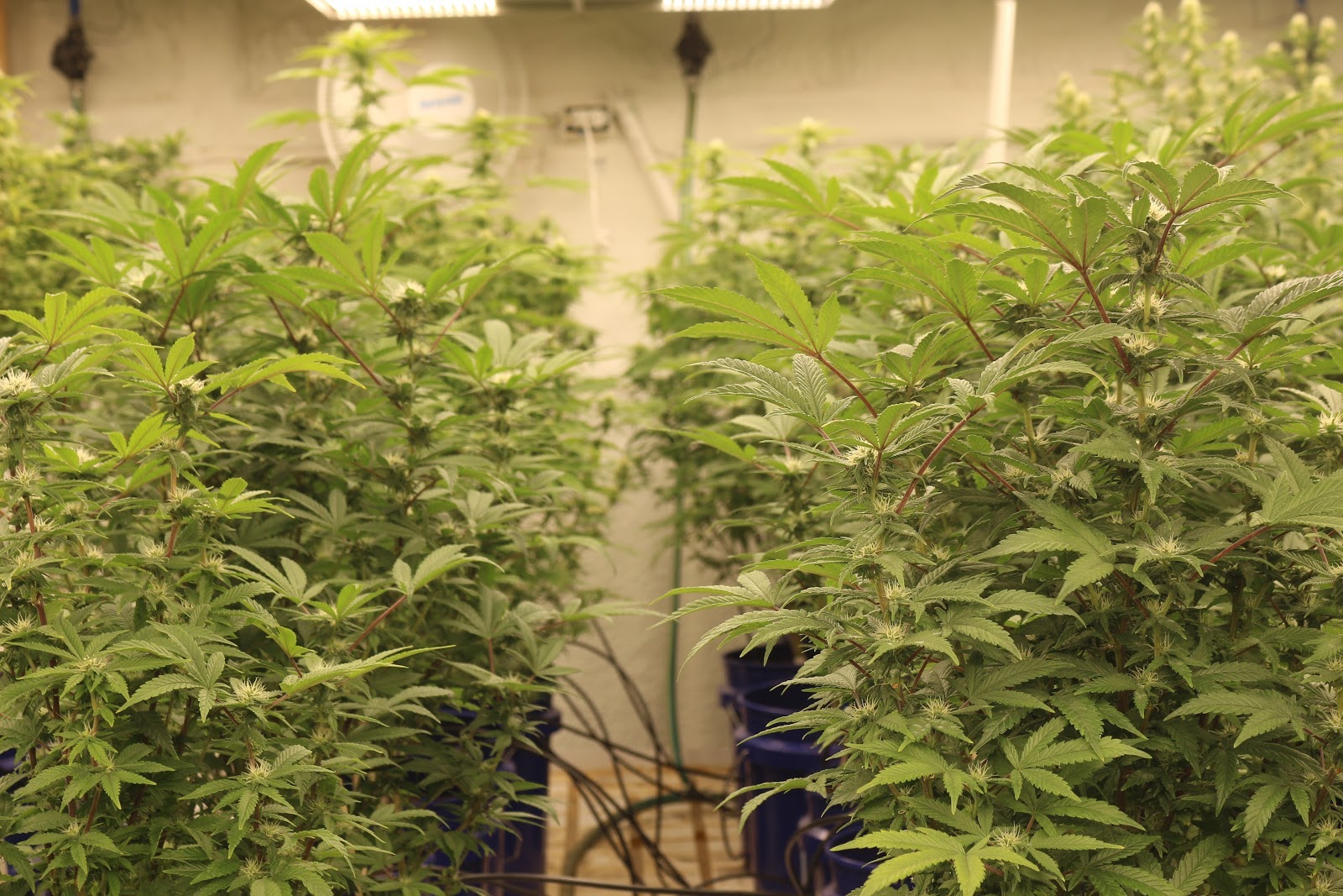 Listing slider image 2