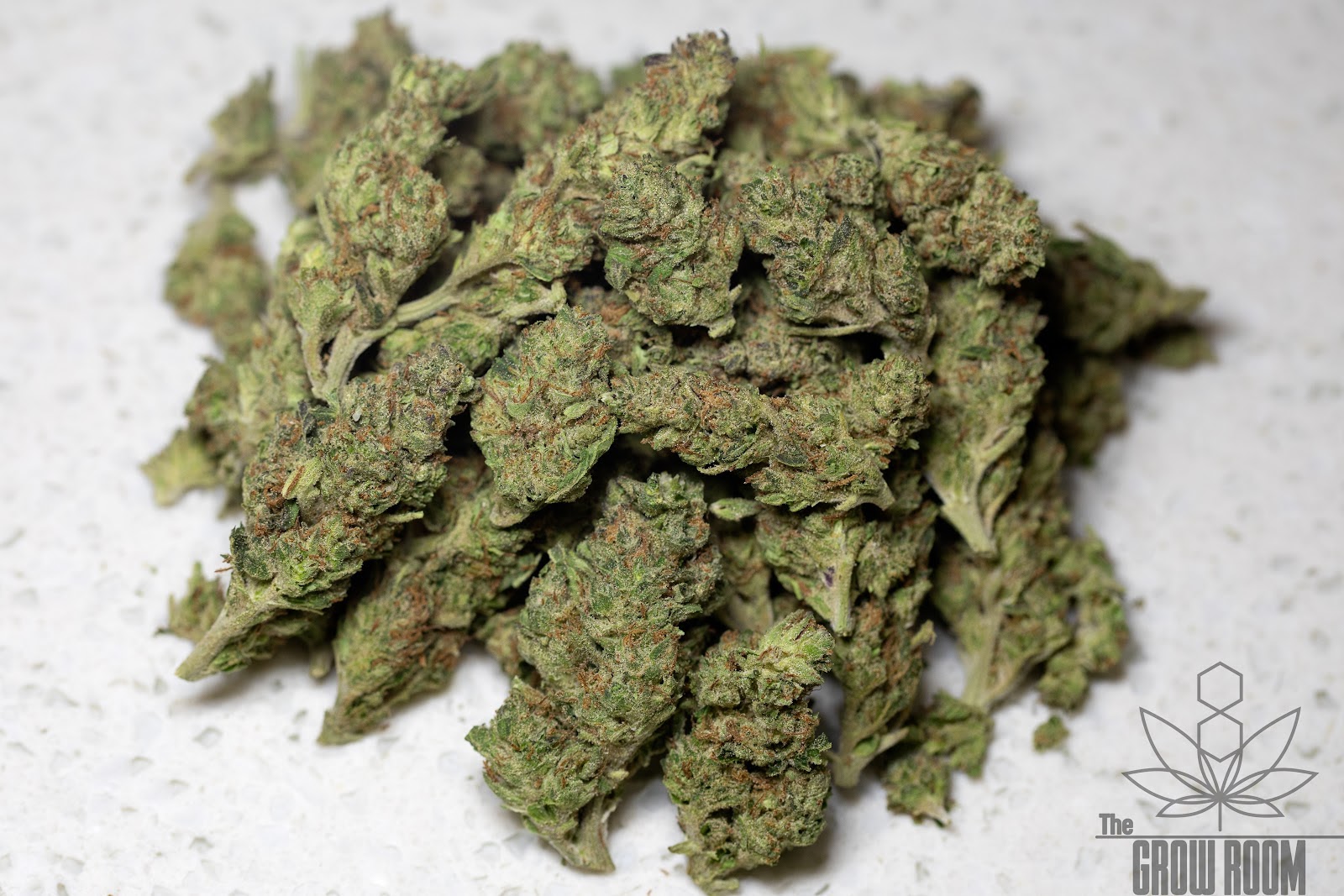 Listing slider image 2