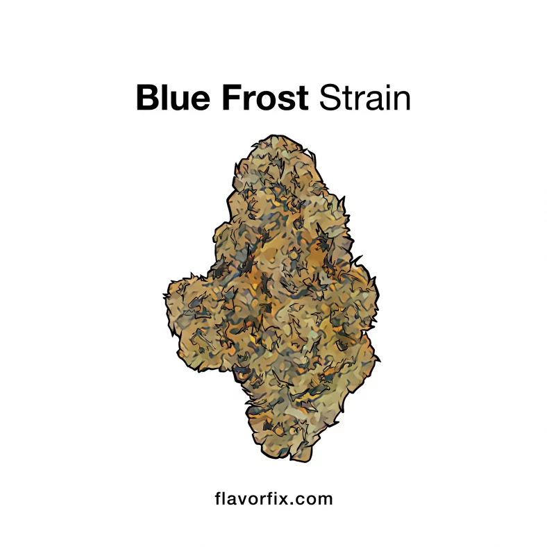 Blue Frost Strain — Frosty & Fabulously Refreshing