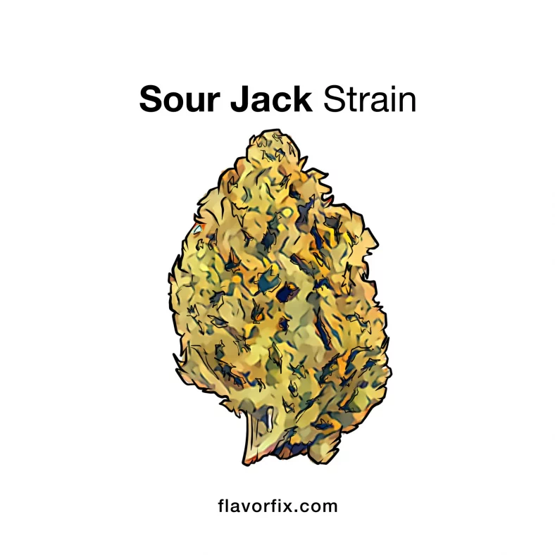 Sour Jack Strain — Sour + Stimulating With a Legendary Lineage