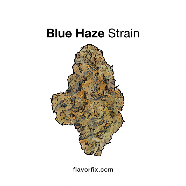 Blue Haze Strain — It’ll Leave You Dazed