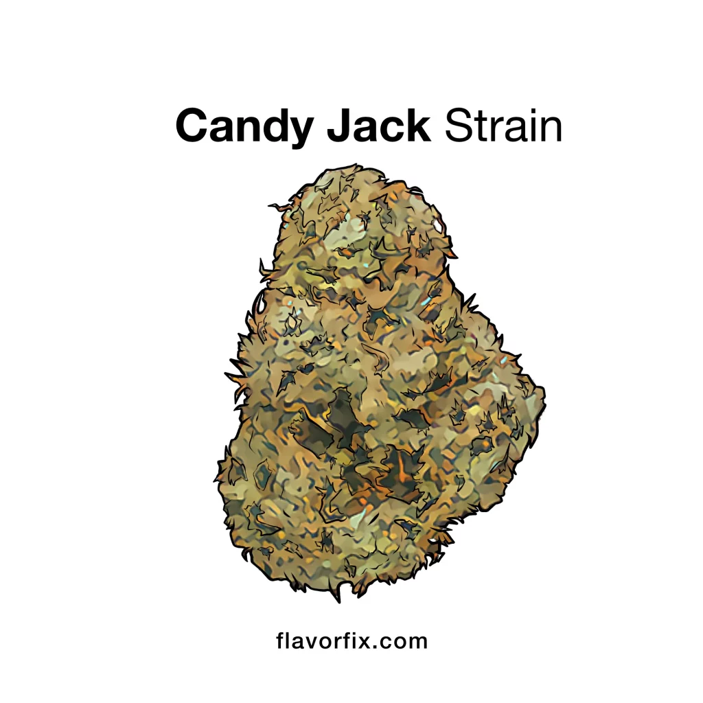 candy jack strain