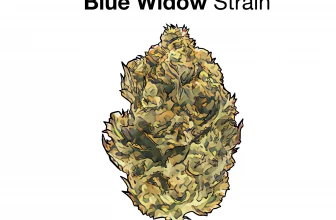 Blue Widow Strain