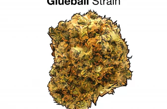 Glueball Strain