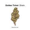 golden ticket strain