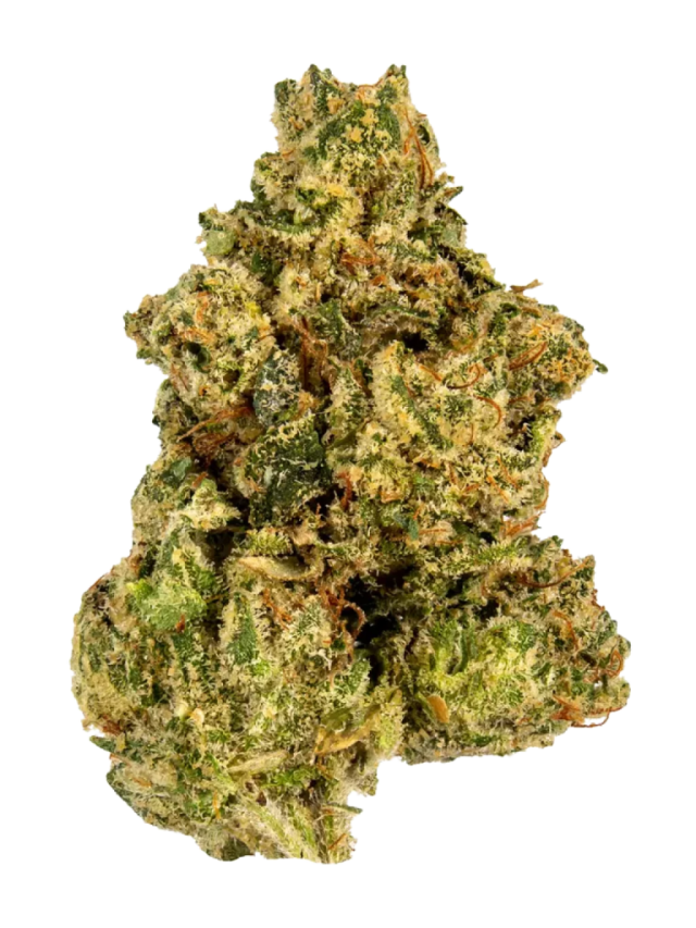 Cookie Glue Strain — A Sticky-Sweet, Stress-Relieving Treat
