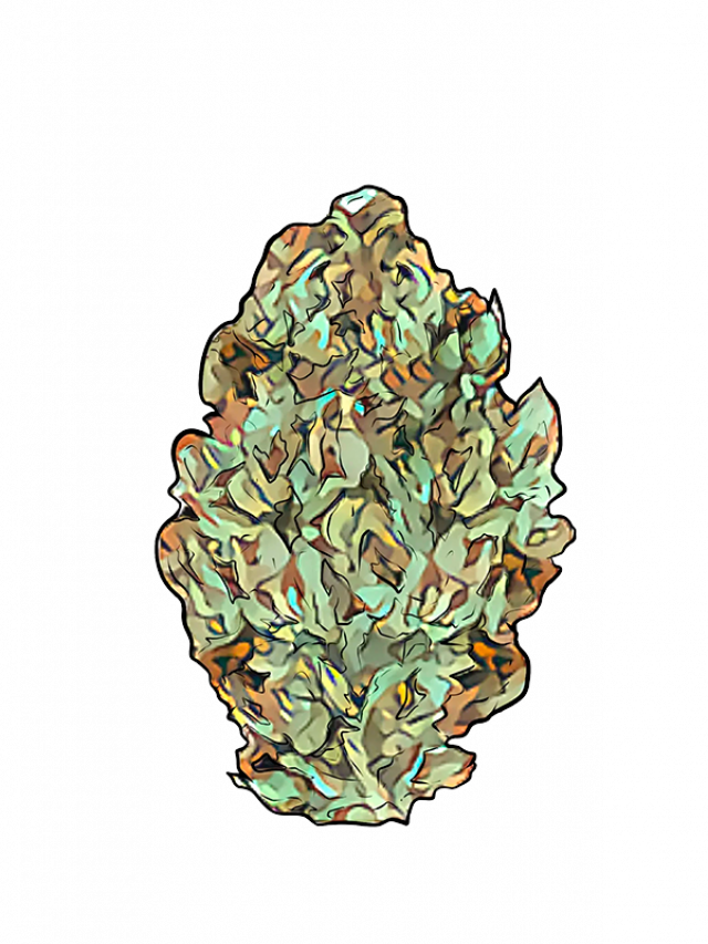 Kaya Maestro Flavor Fix kaya-maestro-flavor-fix