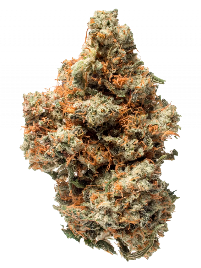 King Louis Strain — The Regal Experience to Take You Higher