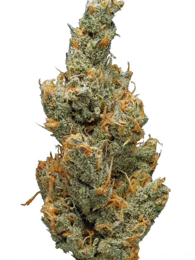 Juicy Fruit Strain — The Taste (and Effects) Are Gonna Move Ya