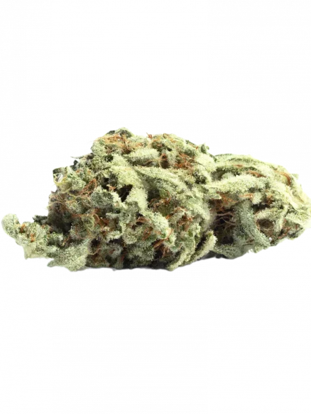 Kush Mints Strain — An After-Dinner Delight