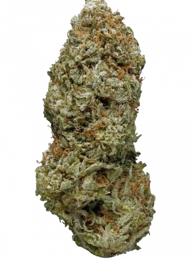 Lemon Skunk Strain — Citrus and Classic Skunk Combined