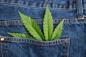 Top Weed Brand Clothing for Stylish Stoners and Cannabis Enthusiasts