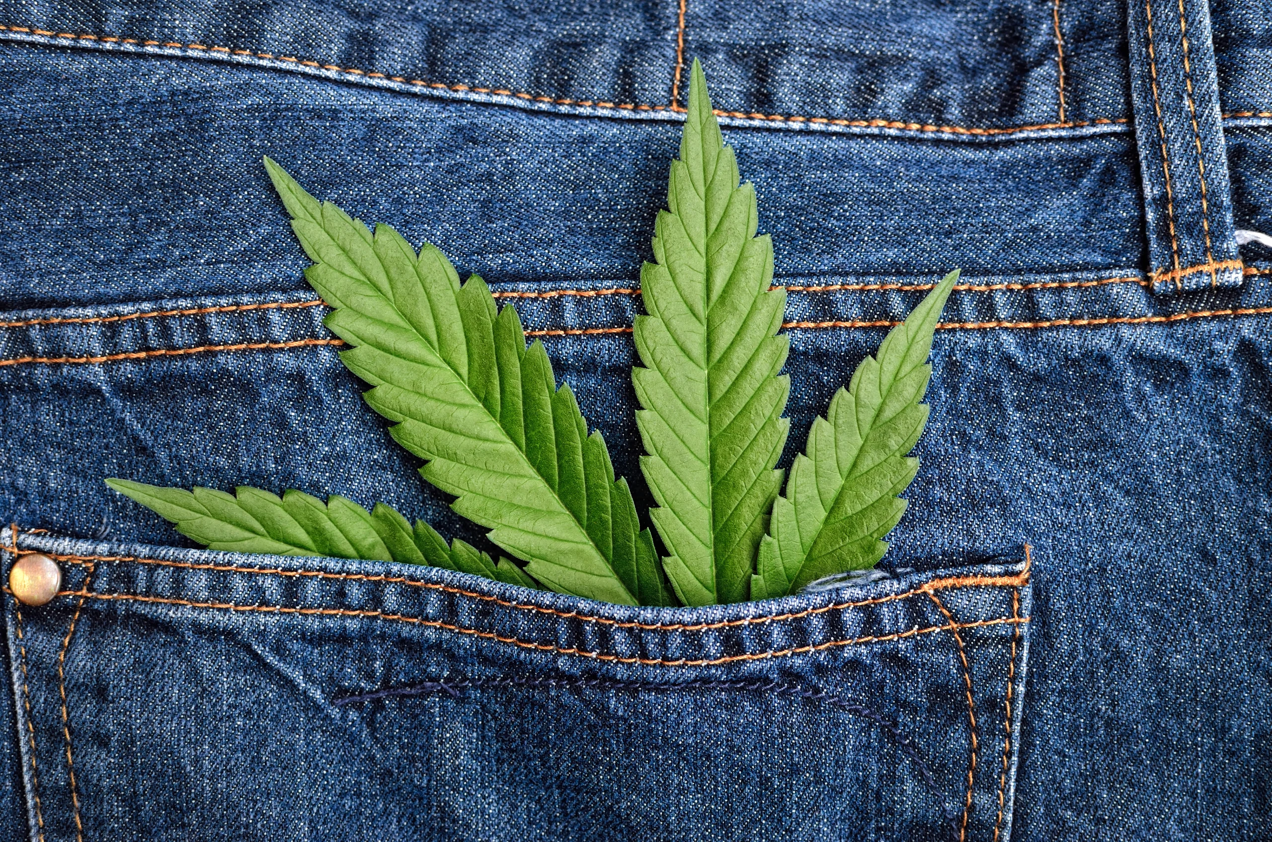 Top Weed Brand Clothing